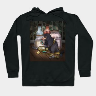 A Magical Thief Hoodie